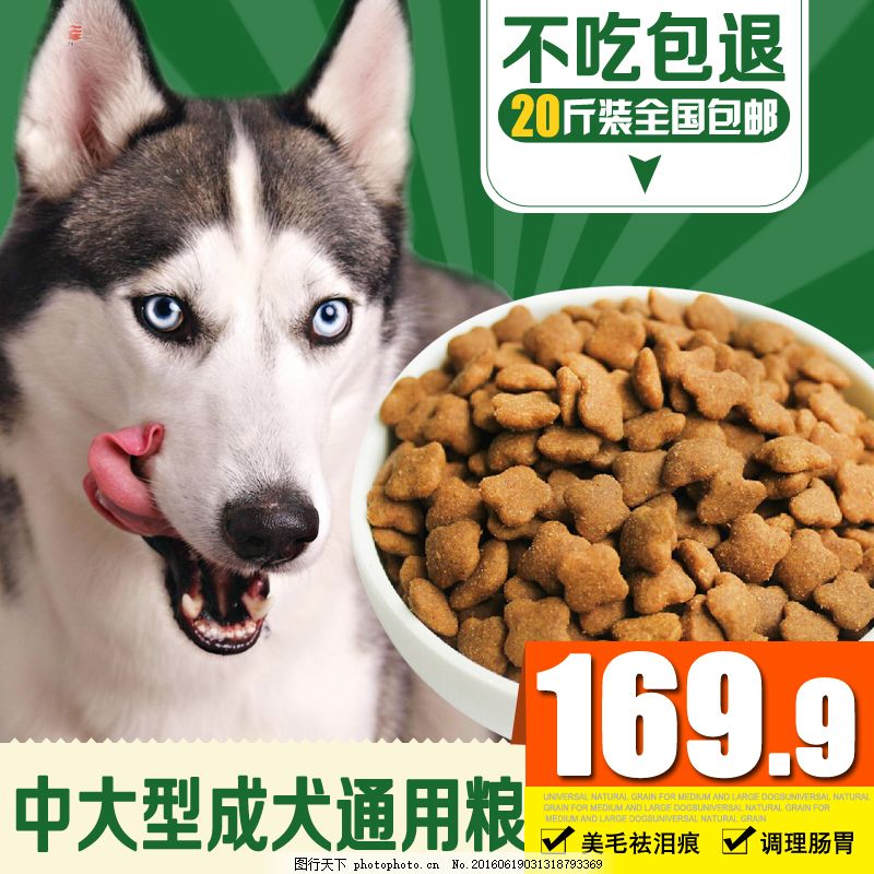 寵物食品主圖設計要點與市場趨勢分析